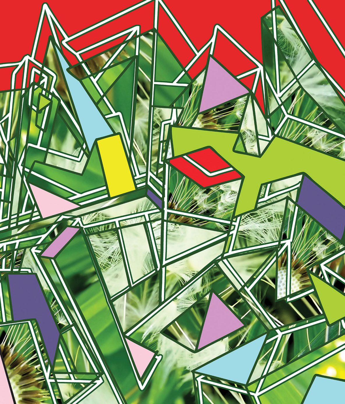 Naturally dandy | © Dex Hannon - All rights reserved (Image)