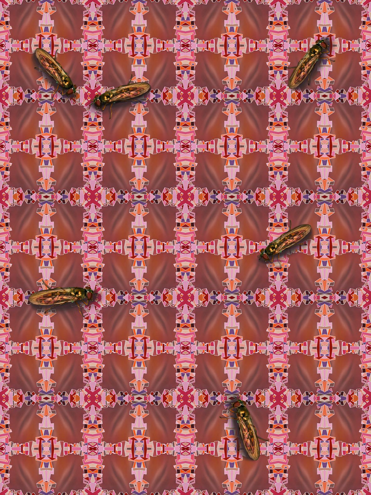 The Future makes all your material desires worthless | © Dex Hannon - All rights reserved (Image)