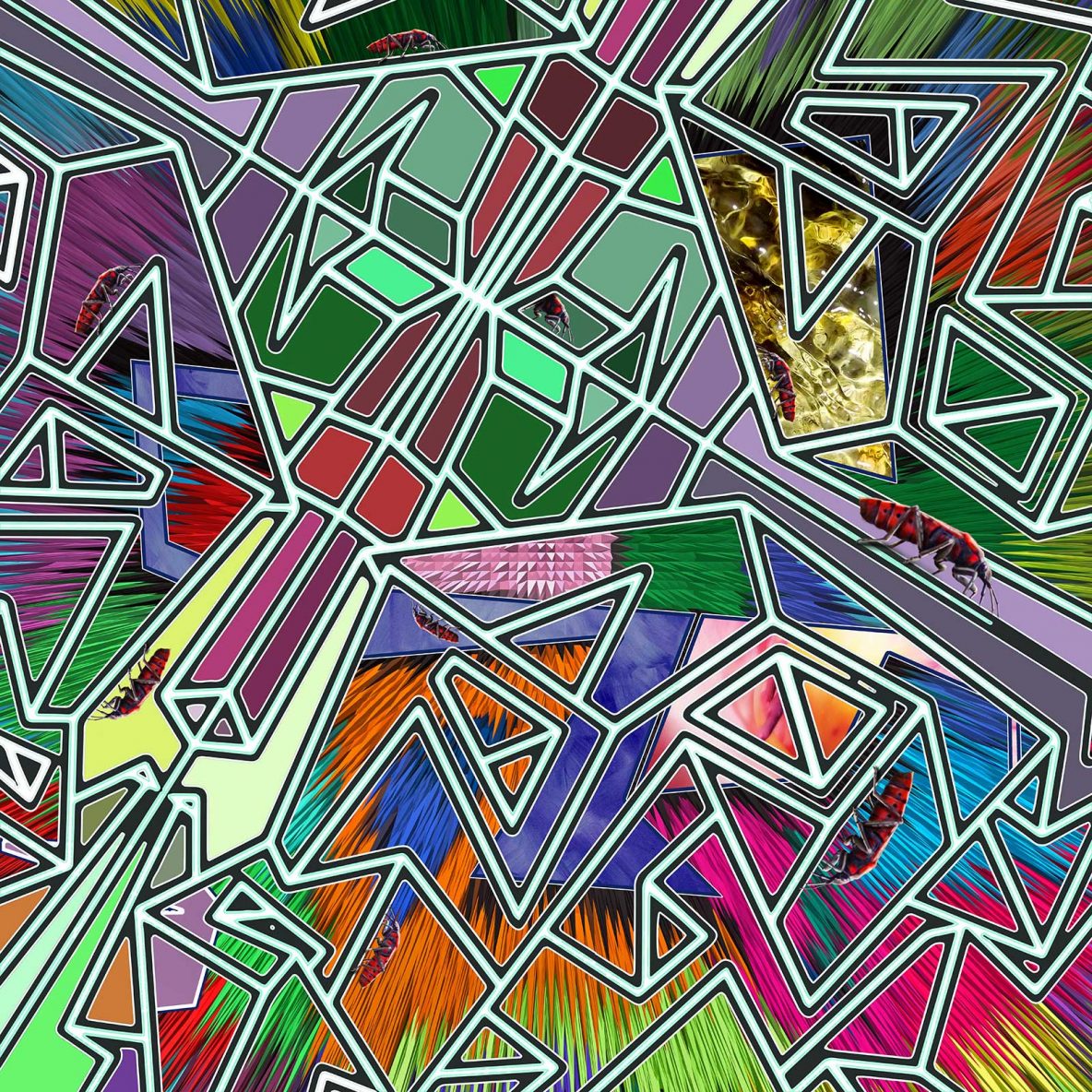 The irrelevance of art to an insect pt2 | © Dex Hannon - All rights reserved (Image)