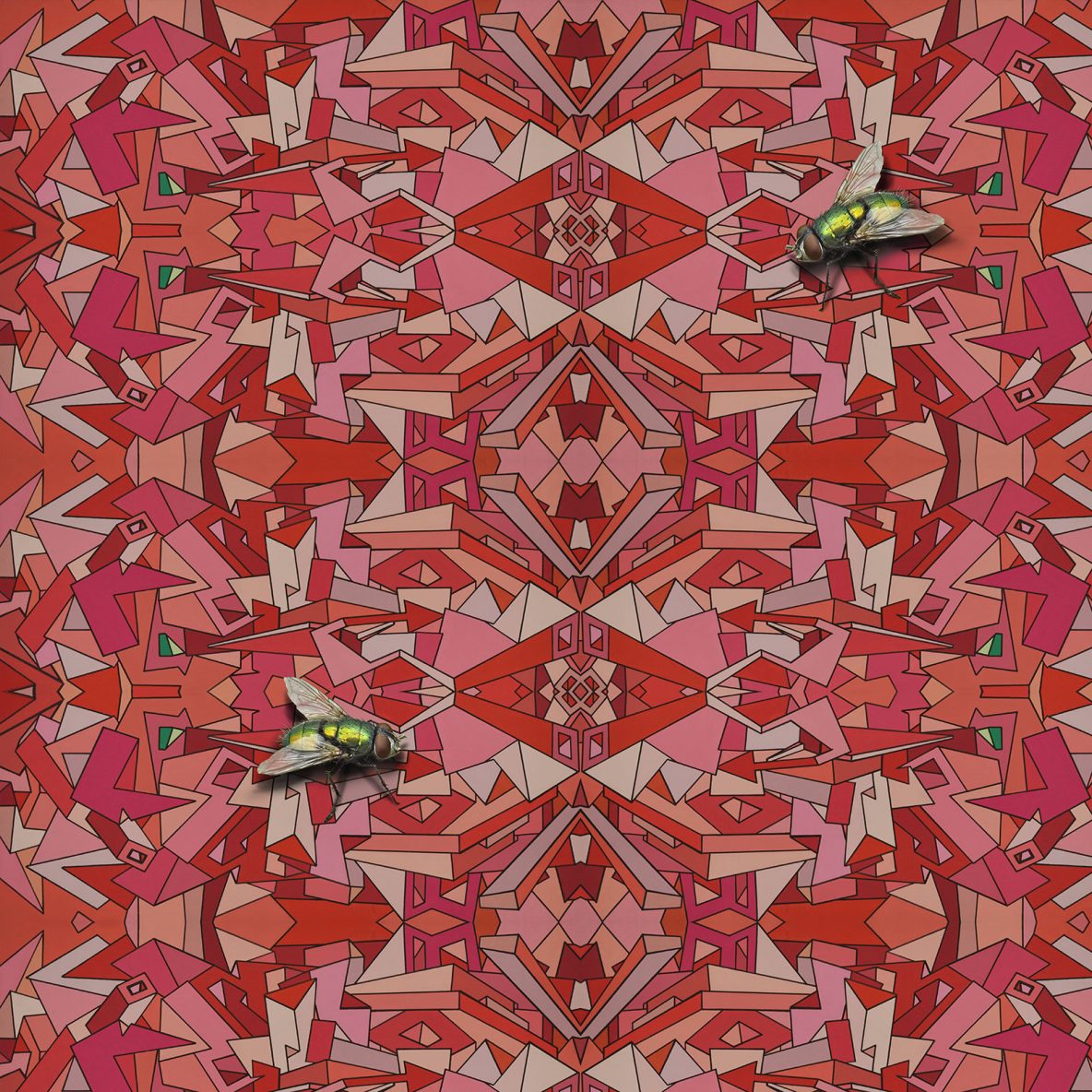 We're in chaos and the flies don't give a damn (Retro Futurism) | © Dex Hannon - All rights reserved (Image)