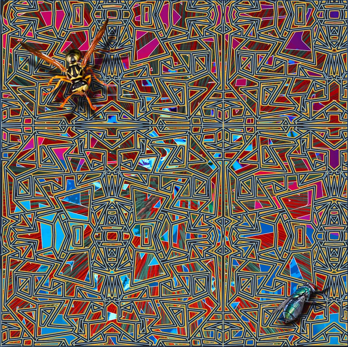 dreamstealers | © Dex Hannon - All rights reserved (Image)